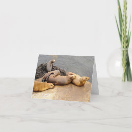 Cartão De Notas Nápoles Leões do Mar do Bebê