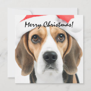Cartão De Notas Natal do Beagle
