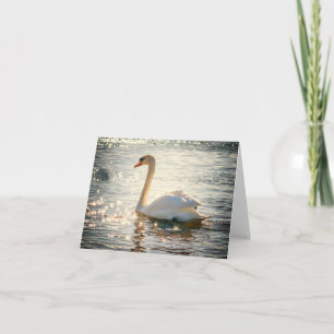 Cartão De Notas Natureza Inspirações Elegante Swan
