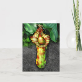 Cartão De Notas Nepenthes, Pitcher Plant Illustration