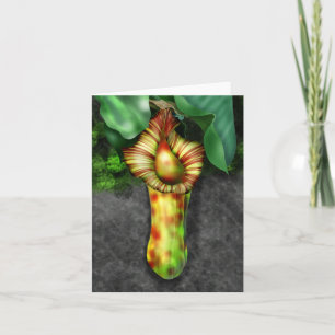 Cartão De Notas Nepenthes, Pitcher Plant Illustration