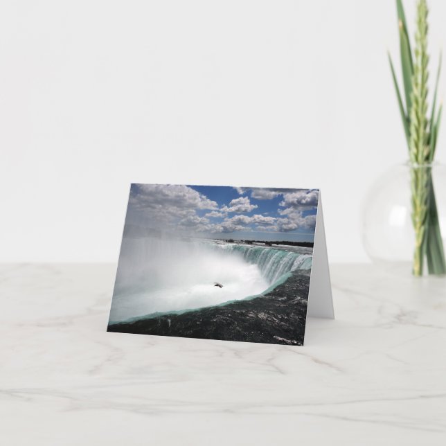 Cartão De Notas Niagara Cai com Seagull (Frente)