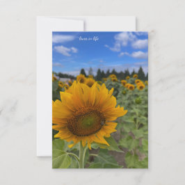 Cartão De Notas Nodding Sunflower