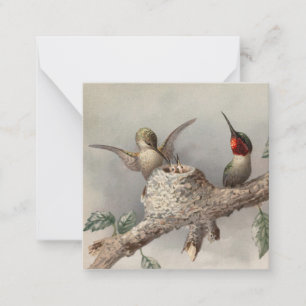 Cartão De Notas Notecard da família Hummingbird