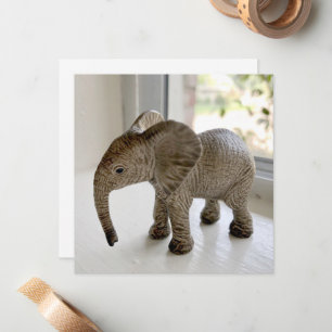 Cartão De Notas Noteclados de elefante para bebês órfãos