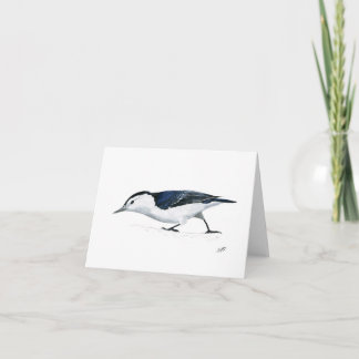Cartão De Notas Nuthatch bravo
