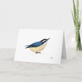 Cartão De Notas Nuthatch de peito vermelho