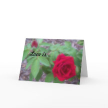 "O Amor É", barata vazio dentro