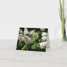 Cartão De Notas Oakleaf Hydrangea