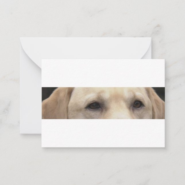 Cartão De Notas olhos de labrador amarelo (Frente)
