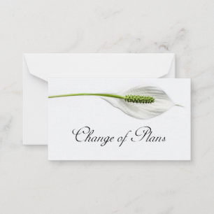 Cartão De Notas Orçamento. White on cinza Change of Plan Note Card