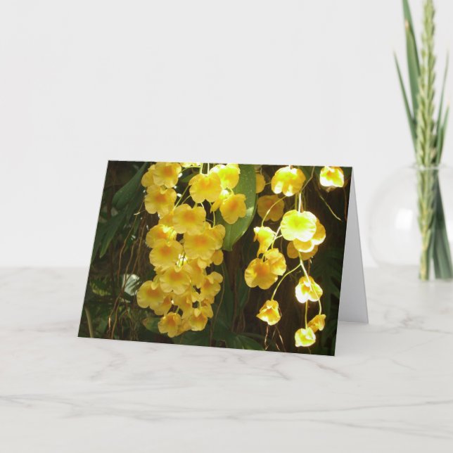 Cartão De Notas Orquídeas Amarelas Penduradas Flores Tropicais (Frente)