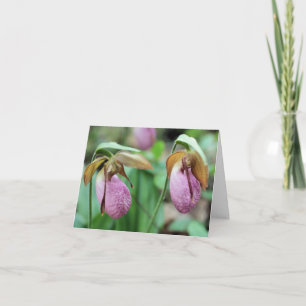 Cartão De Notas Orquídeas Pink Lady Slipper Fotografia de Flores 