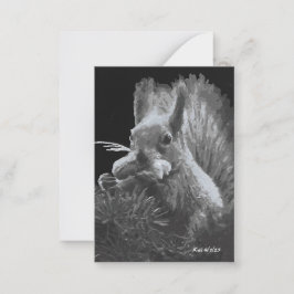 Cartão De Notas Paddy Cake, Indicador de Esquilo