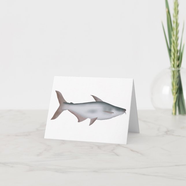 Cartão De Notas Pangas Catfish (Frente)