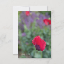 Cartão De Notas Papagaios Rosa, Jardim Roxo