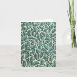 Cartão De Notas Papel de Parede da Casa de Jane Austen