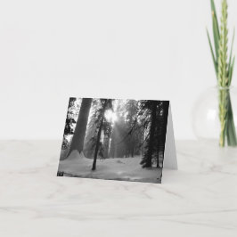 Cartão De Notas Parque Nacional da Neve de inverno em Kings Canyon