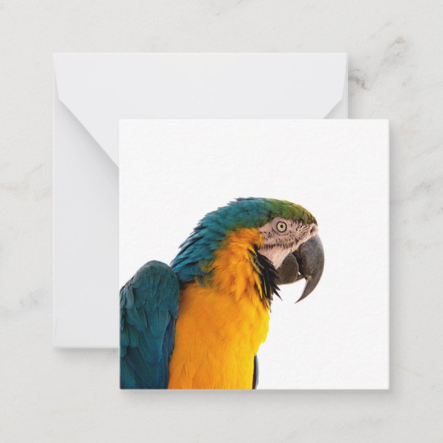Cartão De Notas Parrot Post-it Notes (Frente)