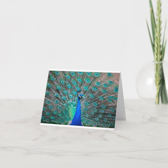 Cartão De Notas Peacock folded note card (Frente)