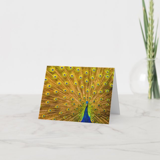 Cartão De Notas Peacock, Silver Falls, Kauai, Havaí (Frente)