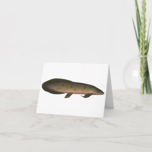 Cartão De Notas Peixe-pulmão australiano