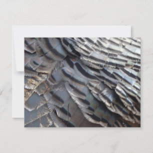 Cartão De Notas Penas de Peru Selvagem II Design Abstrato da Natur