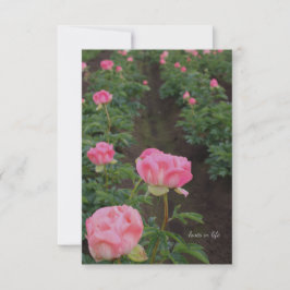Cartão De Notas Peony Field