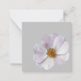 Cartão De Notas Pequena flor rosa