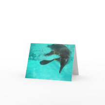 Pinguim mergulhando em água azul em um vazio