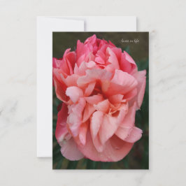 Cartão De Notas Pink Peony