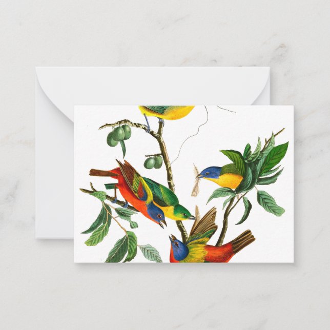 Cartão De Notas Pintado Finch por John James Audubon (Frente)