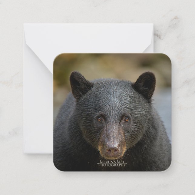 Cartão De Notas Placa de 6,4 cm x 6,4 cm (Frente)