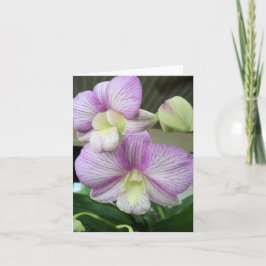 Cartão De Notas Placa de anotação branca e roxa de vazio de orquíd