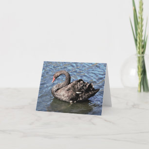 Cartão De Notas Placa de Nota Dobrada de Foto Swan Preta