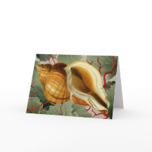 Placa de Nota Dobrada de Vintage Seashell