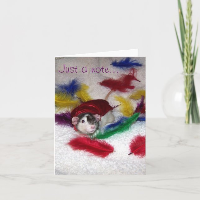 Cartão De Notas Placa de Nota Oreo Pet Rat (Frente)