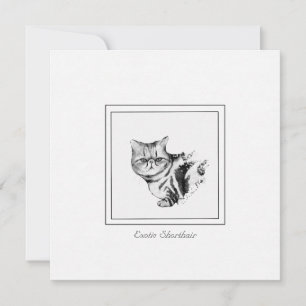 Cartão De Notas Placa de Nota Plana de Cat Exótica Shorthair