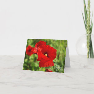 Cartão De Notas Placa de Nota Poppy
