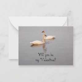Cartão De Notas Placas de Namorados para Cisnes