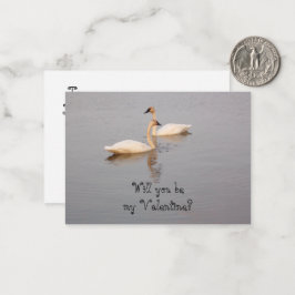 Cartão De Notas Placas de Namorados para Cisnes
