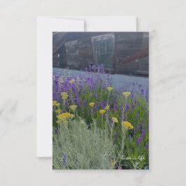 Cartão De Notas Plantas de lavanda e santolina