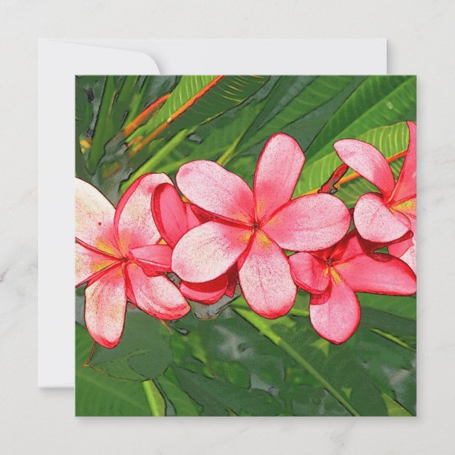 Cartão De Notas Plumeria (Frente)