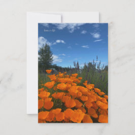 Cartão De Notas Poppies da Califórnia e Lavanda