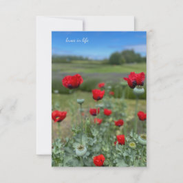 Cartão De Notas Poppies e Cabeças Poppy