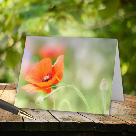 Cartão De Notas Poppy