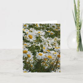 Cartão De Notas Prado de Flores Felizes - Margarida sorridente de 