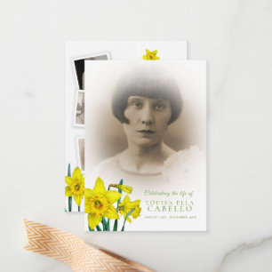 Cartão De Notas Primavera amarelo daffodil flores fotografias poem