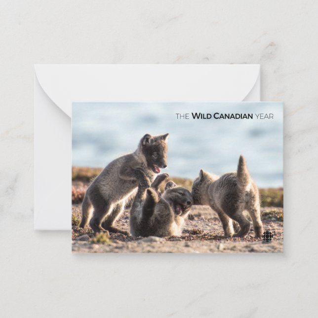 Cartão De Notas Primavera - Raposa Árctica (Frente)