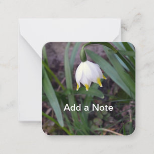 Cartão De Notas Primavera Snowflake Leucojum vernum Personalizável
